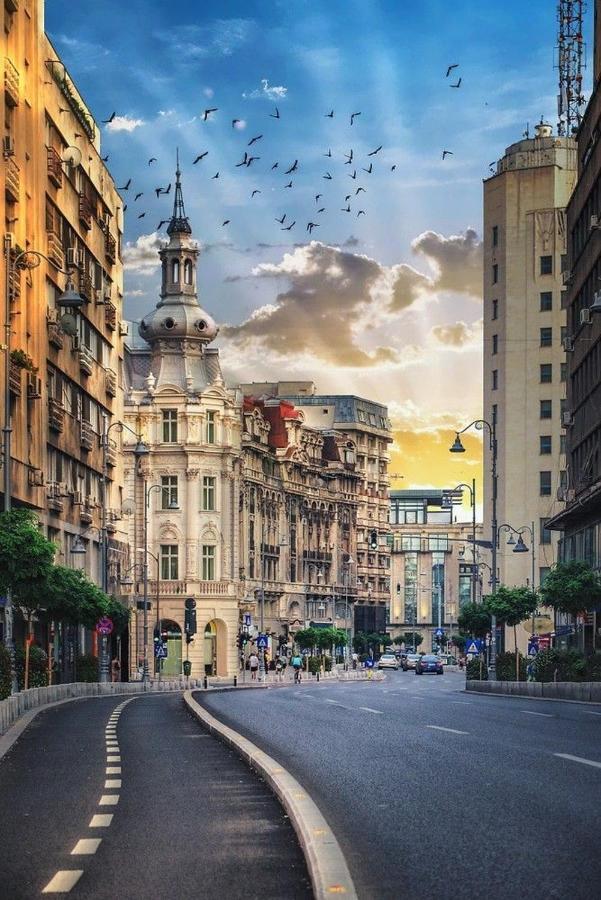 Imob Bibi House Universitate Bucureşti Ngoại thất bức ảnh